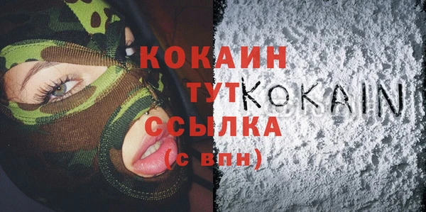 СК Дубна