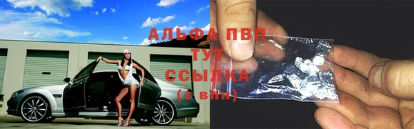 СК Дубна