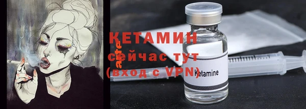 индика Козловка