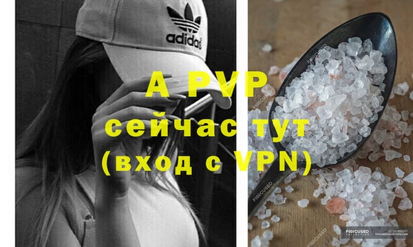 ECSTASY Кинешма