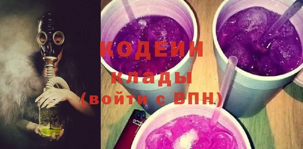 индика Козельск